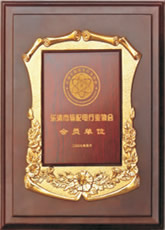 樂(lè)清市輸配電行業(yè)協(xié)會(huì)會(huì)員