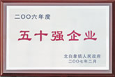 二OO六年度50強(qiáng)企業(yè)